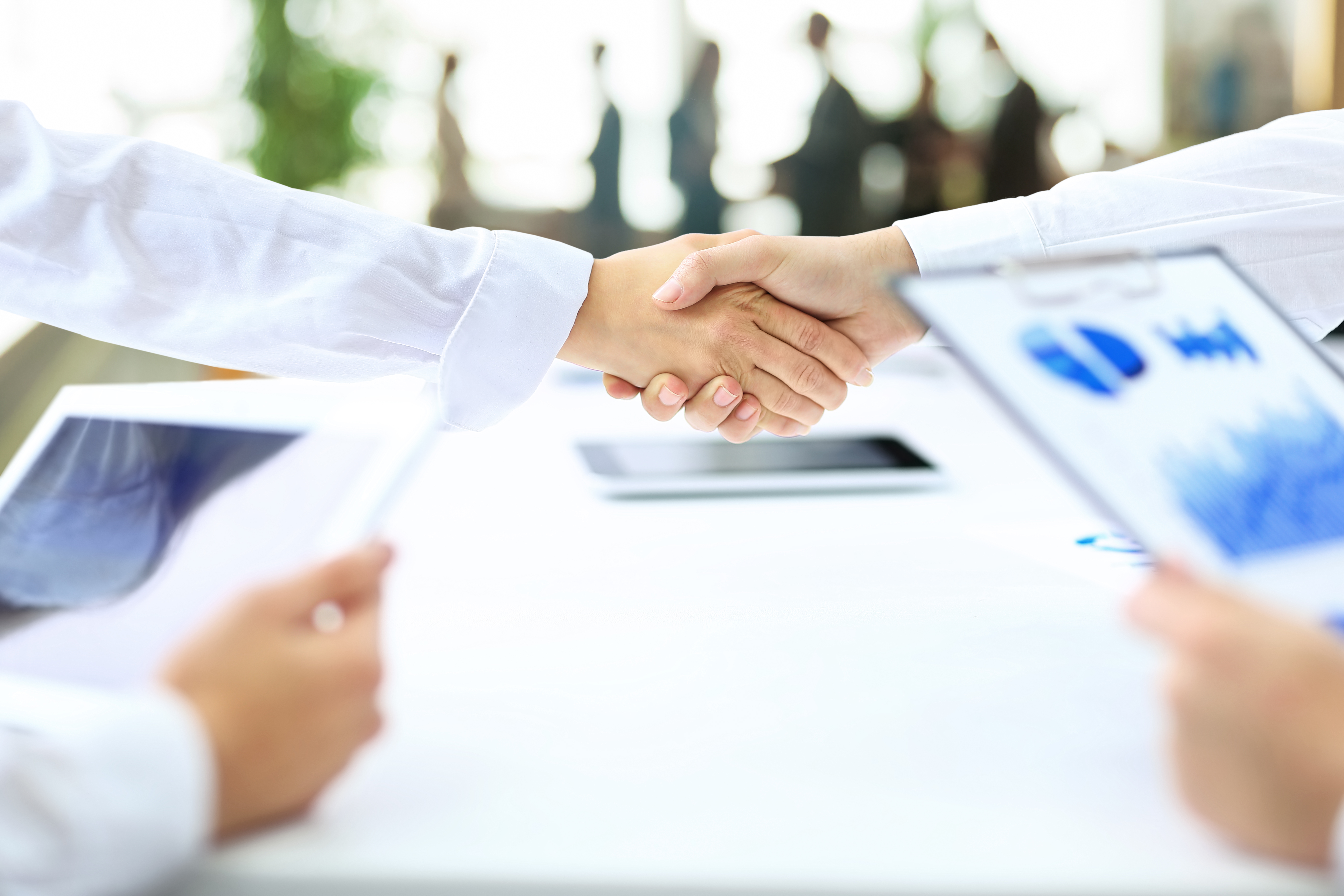 Closeup of a handshake.